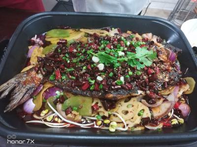 正宗烤魚技術培訓，一條魚火一座城