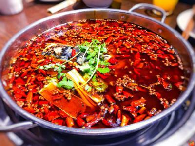 美蛙魚頭火鍋培訓那個靠譜？火鍋培訓哪家好