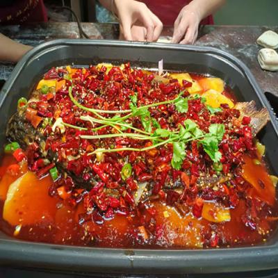 哪里可以學習香辣烤魚技術培訓？
